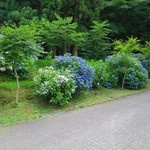 御食事処自家製手打うどん山小屋 - 