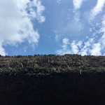 じゅらく - 茅葺屋根