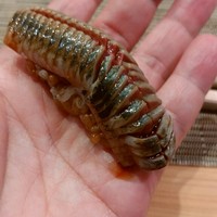 照寿司 - 