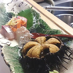 和旬菜と地酒　よし都みやこの　離れ - 三種のお作りと雲丹