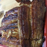 鮒兼 - ふっくら美味しそうな特上うな重アップ