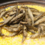 宇豆基野 - アップ、鮎は小さい