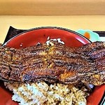 鰻屋すみで - 鰻は、腹開きで直火焼きの関西風で、鰻が丸ごと１尾 丼にのってはみ出ている～!!(￣ ﾛ ￣;ﾉ)ﾉ