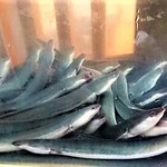 鰻屋すみで - 水槽に入っている鰻～～!!(￣▽￣)ｂ