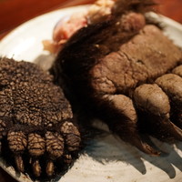 虎萬元 南青山店 - 熊の掌二種見た目の違い