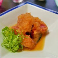 鞍馬口 寿星 - 