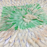 発寒かねしげ鮮魚店 - 