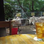 ローダーデール - アイスティー