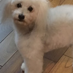 旬美にしかわ - え〜っ！お寿司くれないの⁈と寂しそうなお顔です。
      