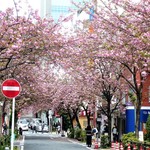 ハーバーズ・ダイニング - 関内桜通り