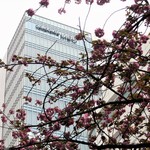 ハーバーズ・ダイニング - 横浜メディアセンタービルが見えてきました。