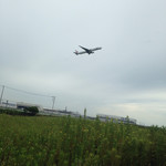 九十九里ファーム たまご屋さんコッコ - 