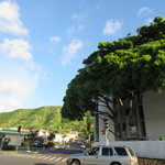 The Coffee Bean & Tea Leaf - 