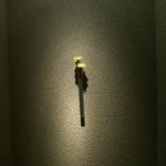 ぎんざ 一二岐 - トイレの花