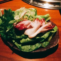 生粋 - 塩ダレサラダ