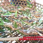 京亭 - 鮎塩焼き