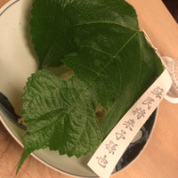 緒方 - 