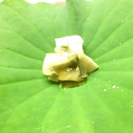 懐石料理 桝田 - 先付