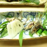 懐石料理 桝田 - 鮎塩焼き