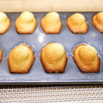 SUGALABO - マドレーヌ