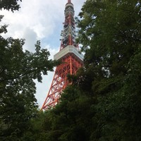 東京 芝 とうふ屋うかい - 