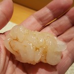 鮨 土方 - 2017.7.白海老