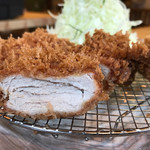 ポンチ軒 - 特ヒレ