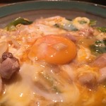 星屋 - 大山地鶏の親子丼