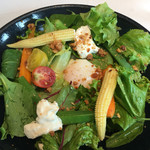 Wattle Tokyo - Saltサラダ