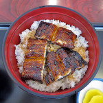 Uwo Yoshi - 上鰻丼