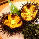 JINROKU - ◆石巻産 殻つき活雲丹