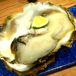 JINROKU - ◆富山産 旬の岩牡蠣