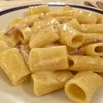 MANGROVIA - リガトーニのアルフレッド 