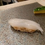 鮨みやもと - 握り　赤いか