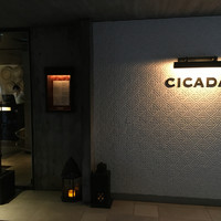 CICADA - 