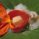 日本料理 永代 - ほおずきの中には魚卵を固めたもの