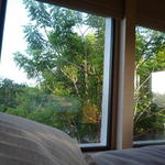 THE RITZ-CARLTON - ２階のベッドからの緑