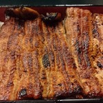 神田きくかわ 神田店 - 