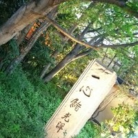 一心鮨 光洋 - 