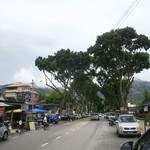 Gusto Cafe - 雨のヒルサイド