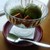 海あかり - 抹茶アイスクリームは400円でした