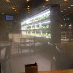 burukkusumibyoukafe - 