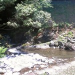 奥山の癒し処 風緑 - 