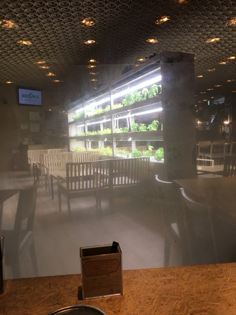 閉店 ブルックスミビョウカフェ Brook S Me Byo Cafe 旧店名 Brooks Green Cafe 明治神宮前 カフェ 食べログ