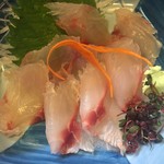 Ooshimasushi - 