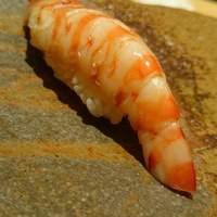 鮨 さいとう - 