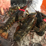 ビストロ ダイア - 今日のオマール海老は本当に活きが良い