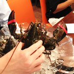 ビストロ ダイア - カナダから来たのにとっても元気です