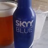 SKY 40