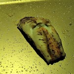 SUSHI TOKYO TEN、 - [料理] 煮穴子 握り